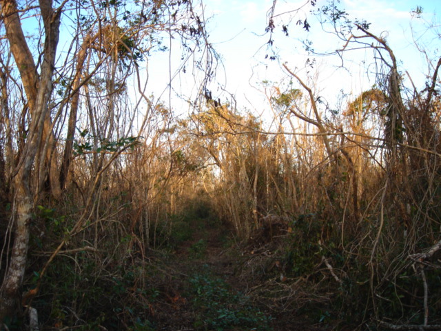 dsc00474.jpg